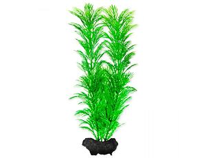 Pflanze TETRA Green Cabomba M.